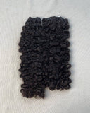 Pack Burmese - Curly Godess